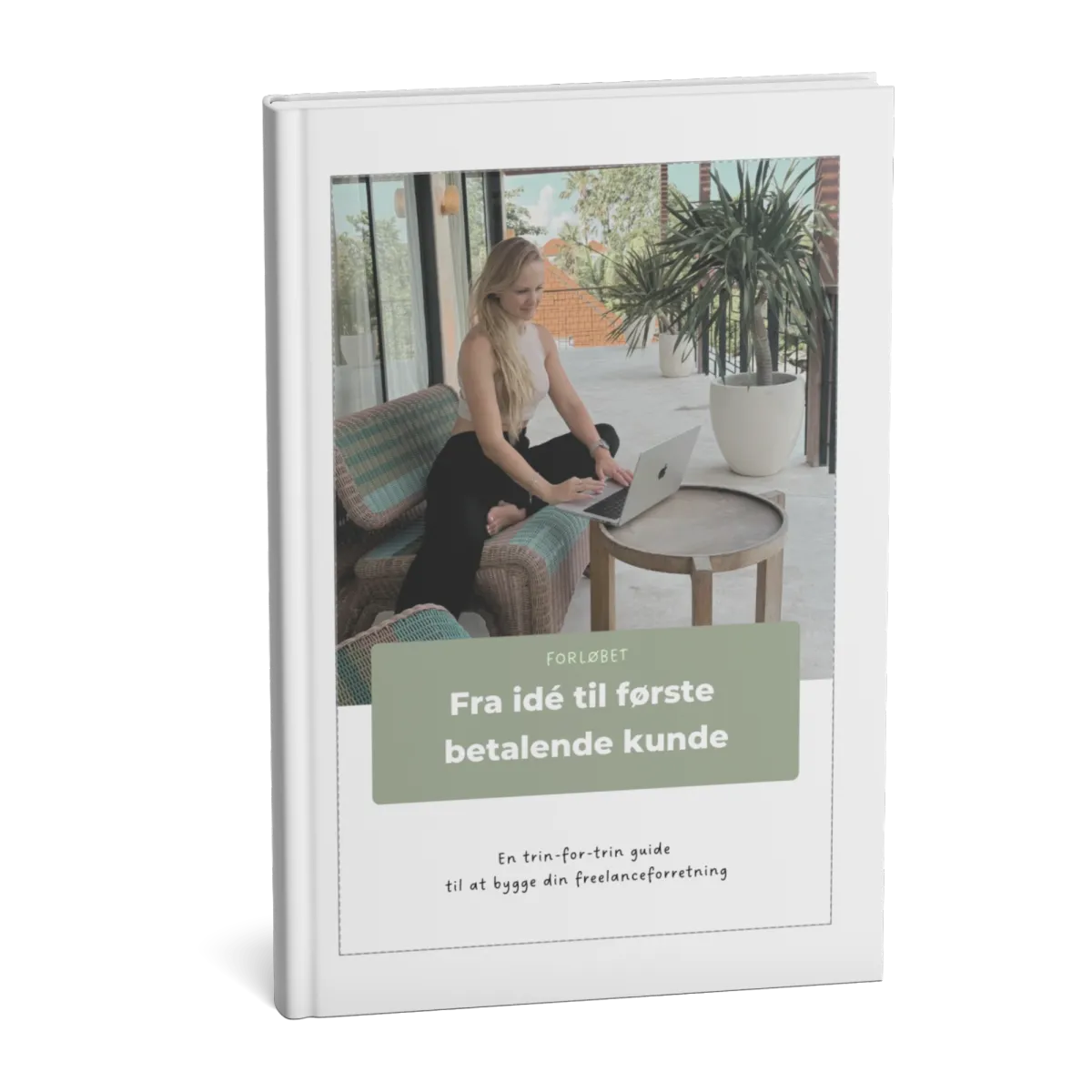 Wookbook – Fra idé til første betalende kunde