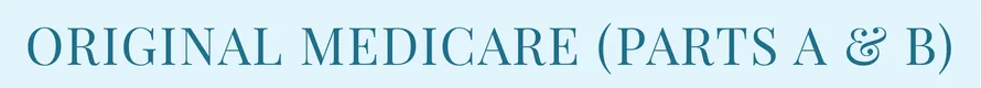 Original Medicare Parts A and B coverage explained for Medicare clients in Holland MI