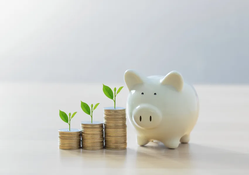 Annuity options for retirement income and long-term financial stability