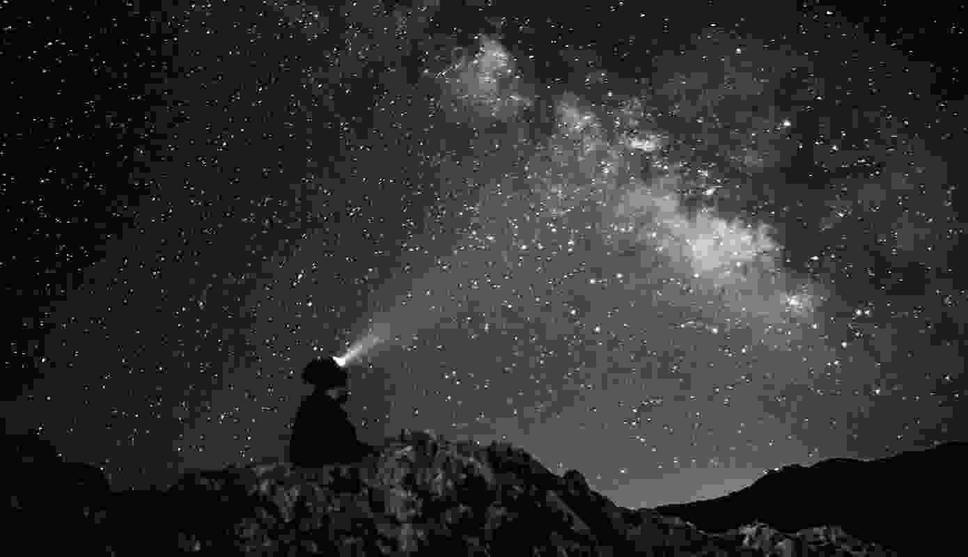 Career and Wealth in Vedic Astrology