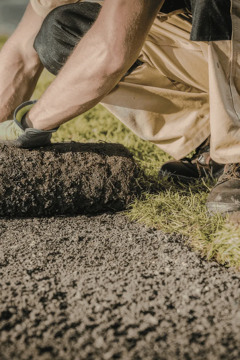 Example of laying out a sod in GA done by Catalan Landscaping for specific service page