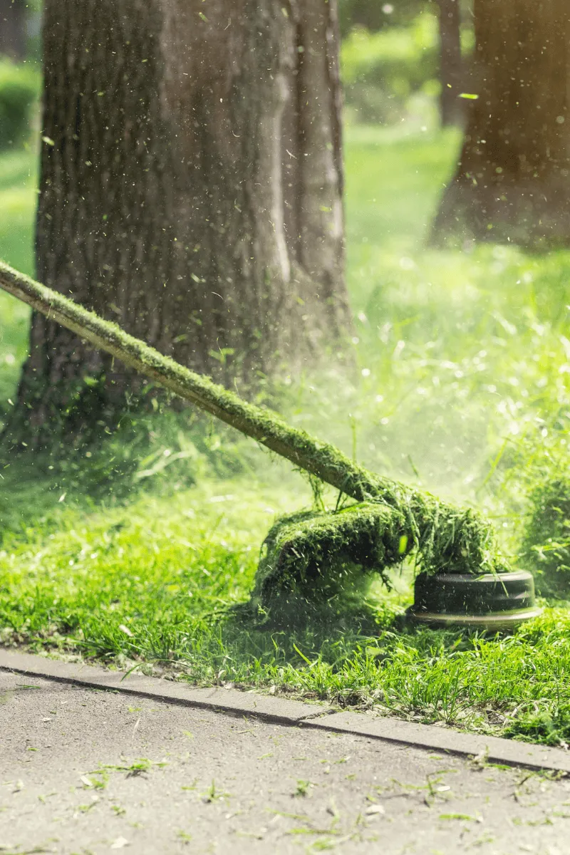 Example of trimming a lawn in GA done by Catalan Landscaping for specific service page
