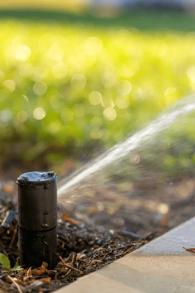 Example of drainage system in GA done by Catalan Landscaping for specific service page