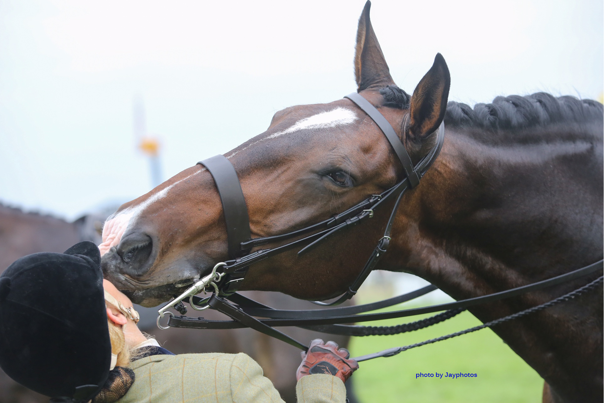 Horse giving the owner a kiss