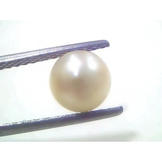 MOON PEARL (MOTI)Image