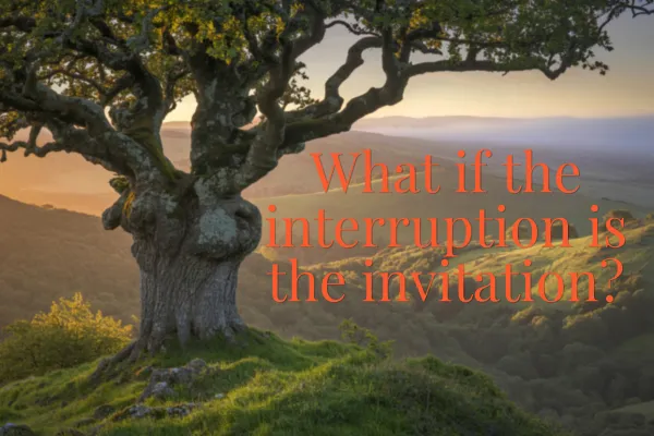 The Wisdom of Tohi: What My Cherokee Ancestors Knew About Rest Before the World Forgot