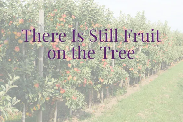 There Is Still Fruit on the Tree