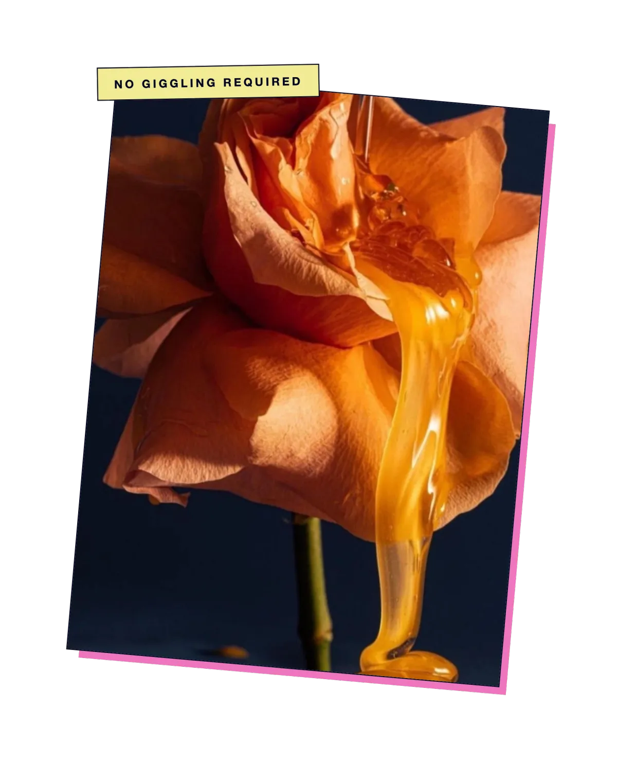 Megan Millington | Erotic flower
