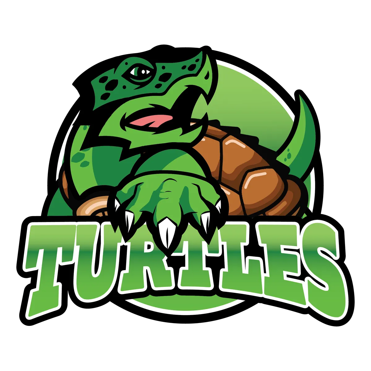 Turtles team logo
