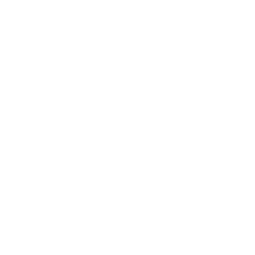 Revenue Quest Consulting