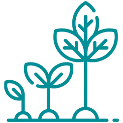 icon of a seedling to a grown plant symbolizing the need to take time to grow