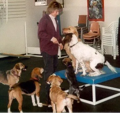 Teresa Loya, Training Dogs