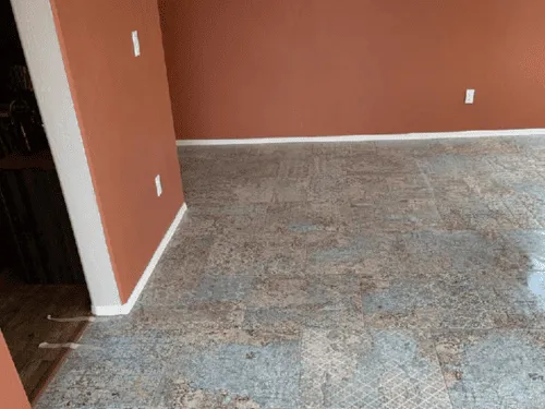  Kitchen Remodels