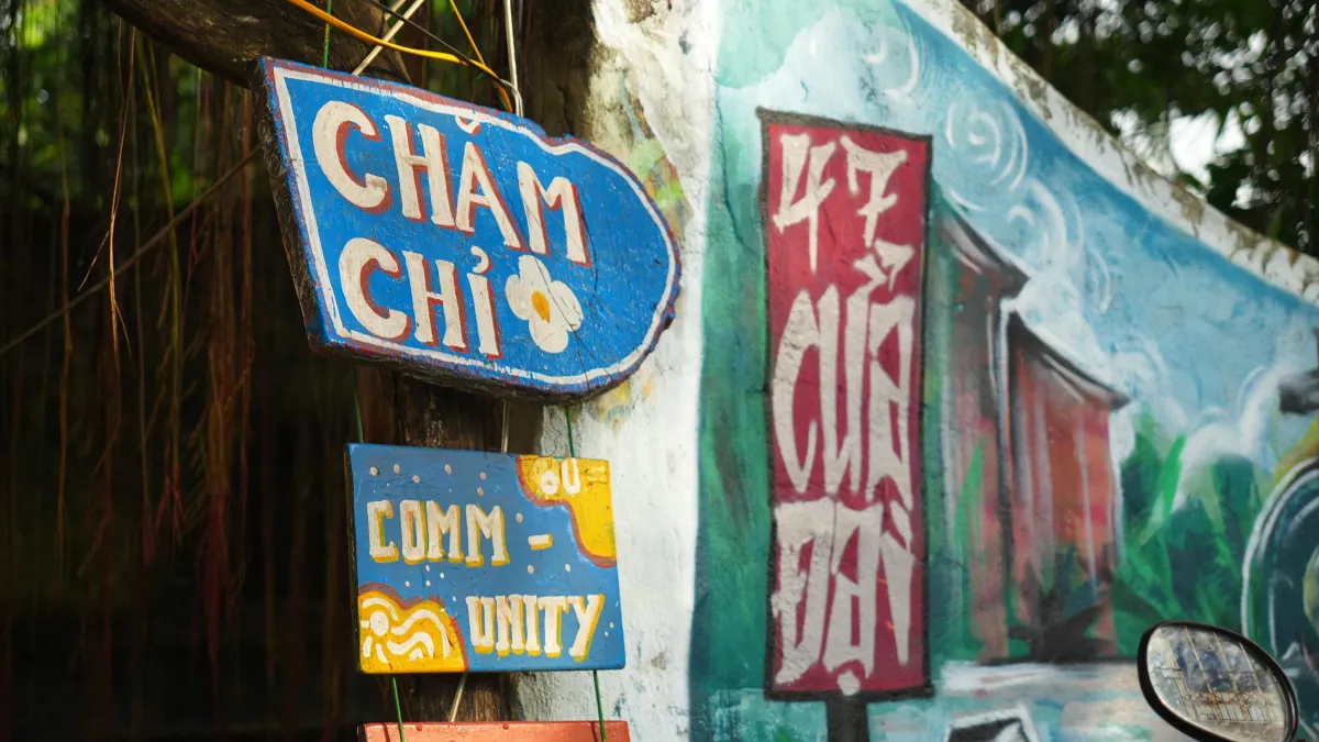 green plants blue swimming pool
