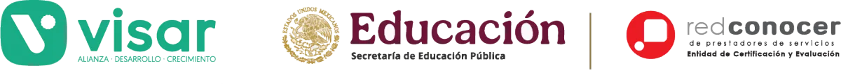 VISAR Instituto Logo