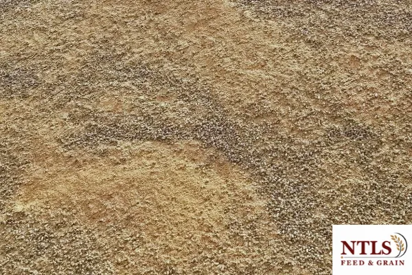 Close-up of loose soy hulls, a high-fiber cattle feed available in bulk from NTLS Feed & Grain.