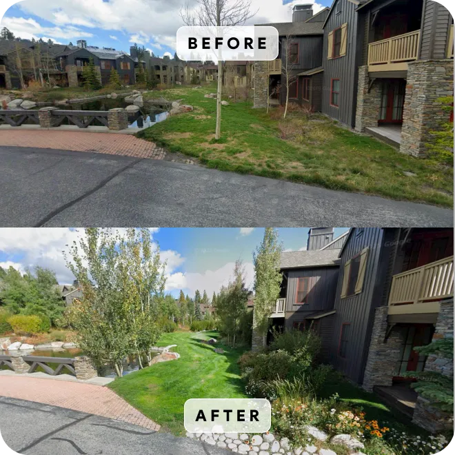 Before and after landscaping showing a bare outdoor area transformed into a green lawn with plants and walkway