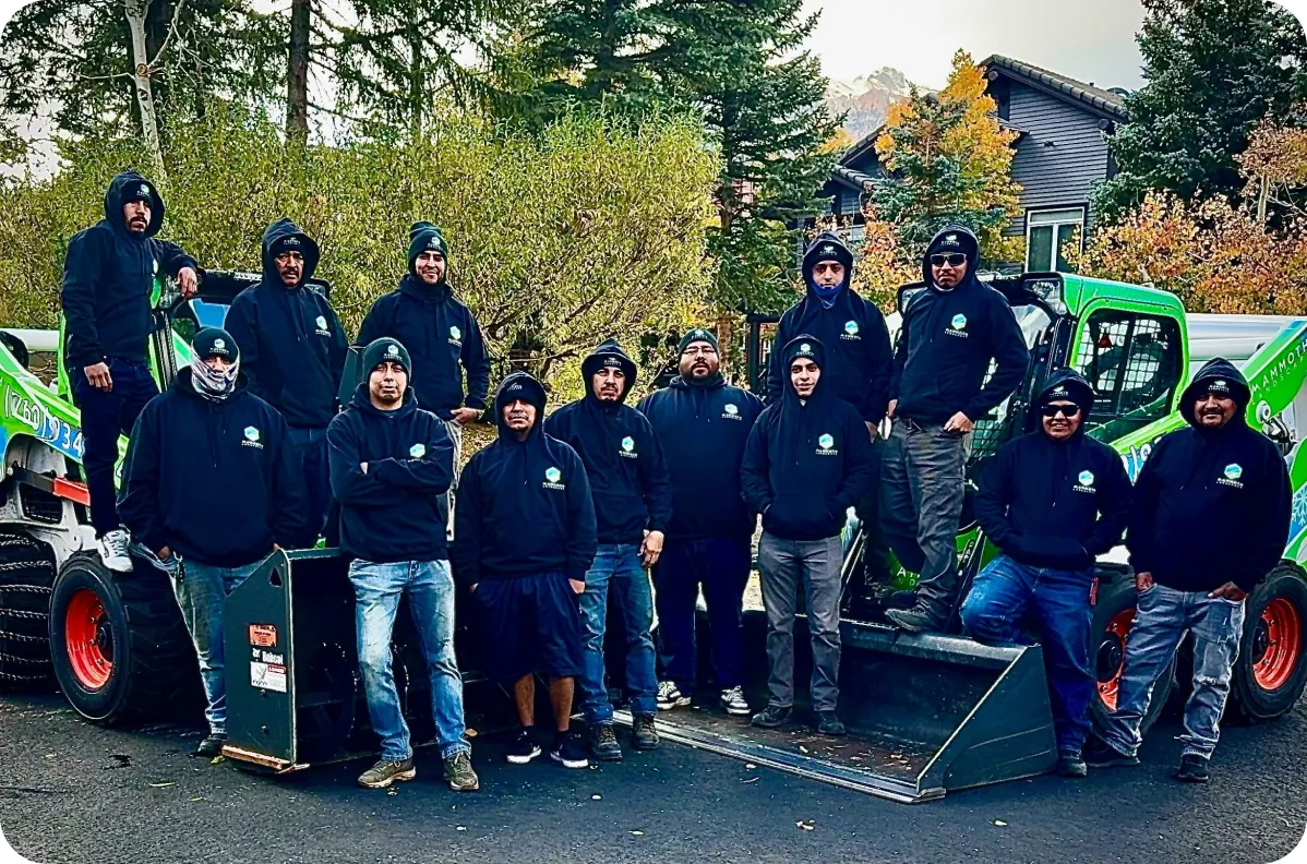 We’re a family-rooted and Landscaping company