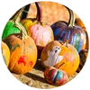 Painted pumpkins and supplies at a cozy fall pumpkin painting event