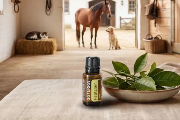 Petitgrain Essential Oil for Horses and Pets