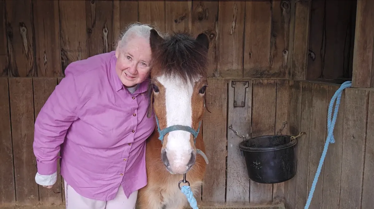 horses love to smell essential oils