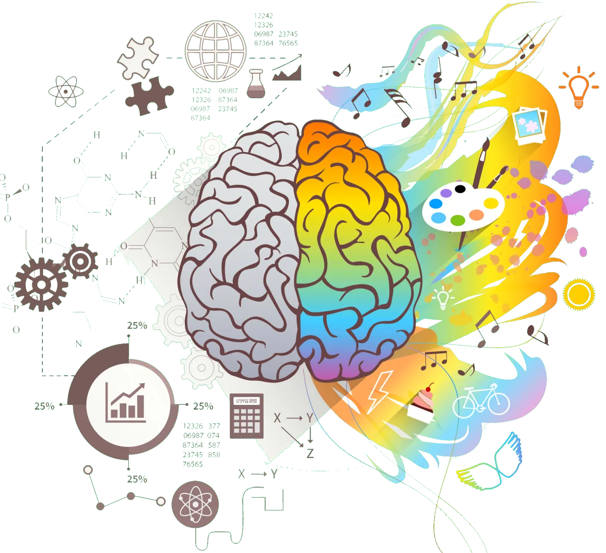 Improving Sensory Acuity