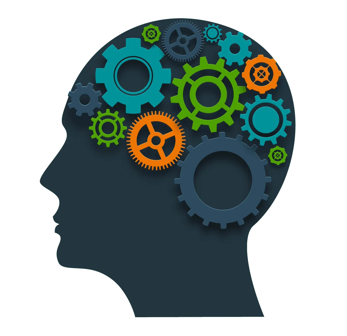Representational Systems