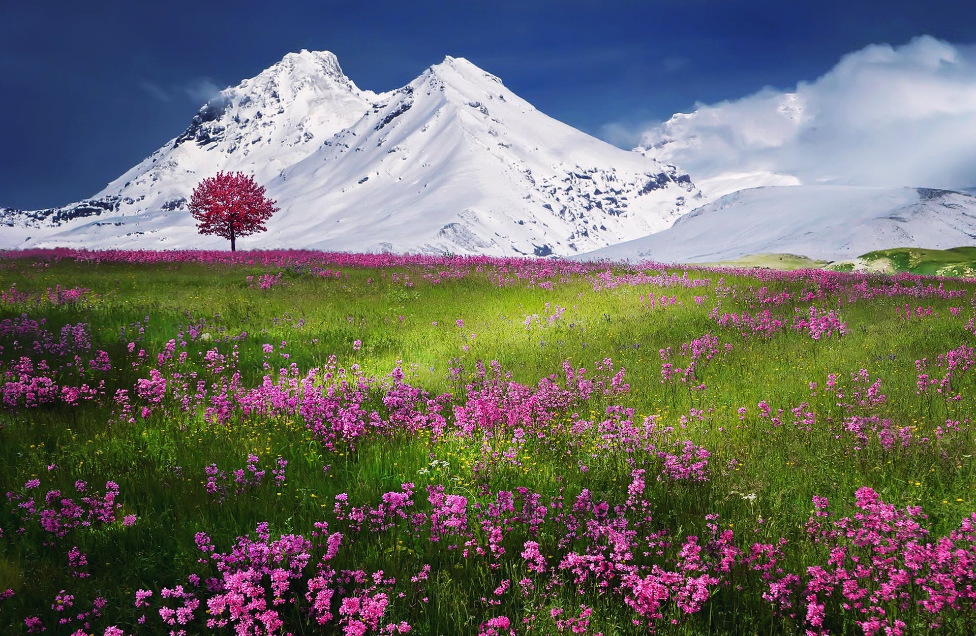 The Four Seasons of Your Menstrual Cycle