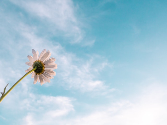 An Antidote for Hope-ium: Mindfulness
