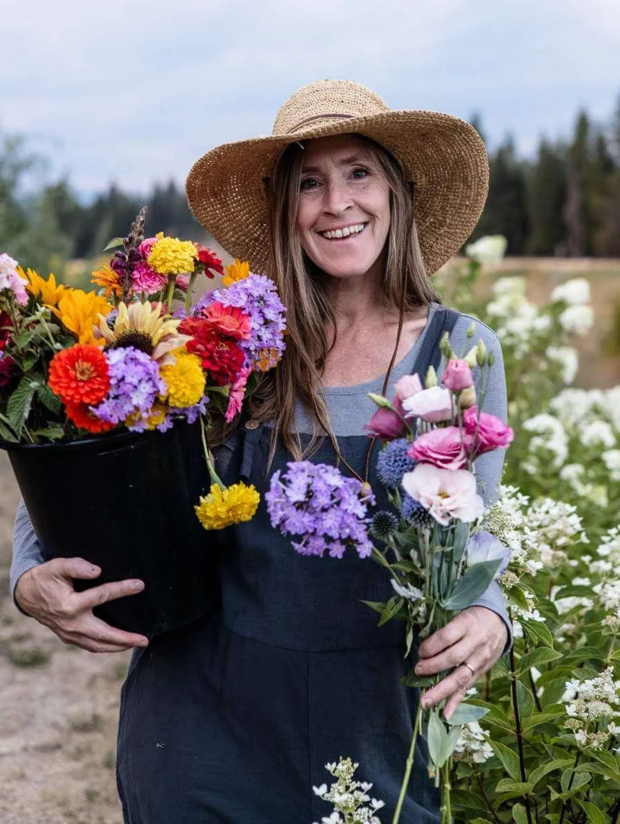 a flower farmer harvesting cosmos