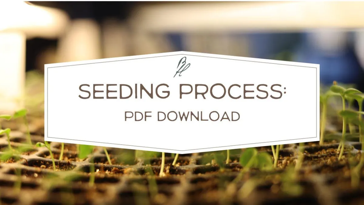 dowload: seedprocess cheat sheet