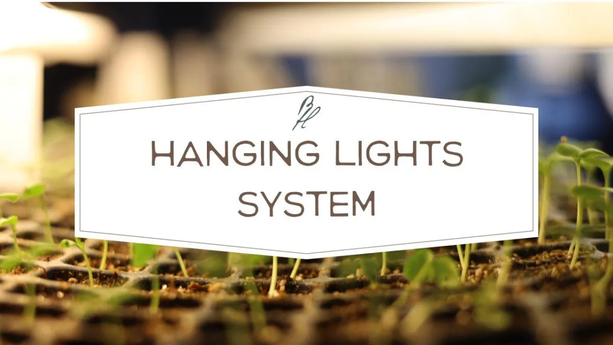 hanging light system for seed starting and germinations