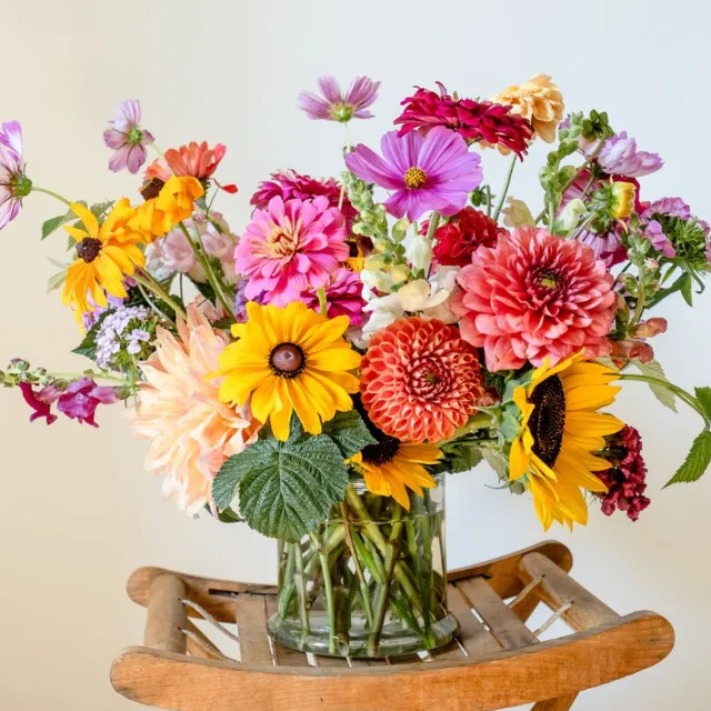 A picture for the beginner cut flower growing course and coaching on starting the simplest cut flower garden that will train about  the business of cut flowers.