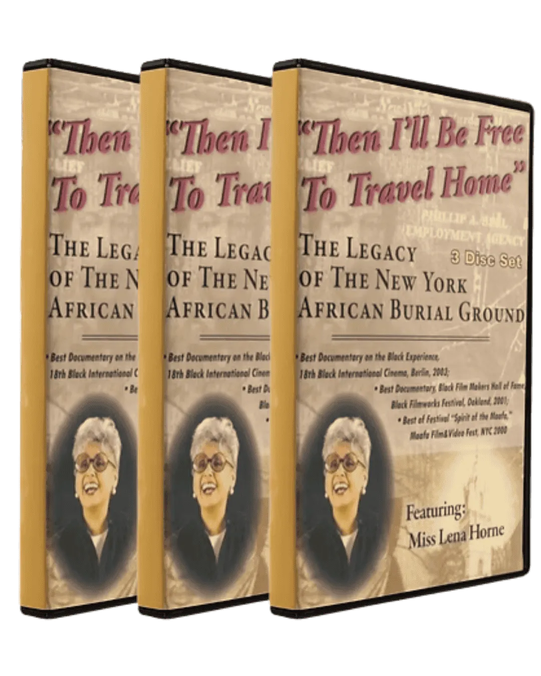 “Then I’ll Be Free to Travel Home” documentary series on the New York African Burial Ground and African American history
