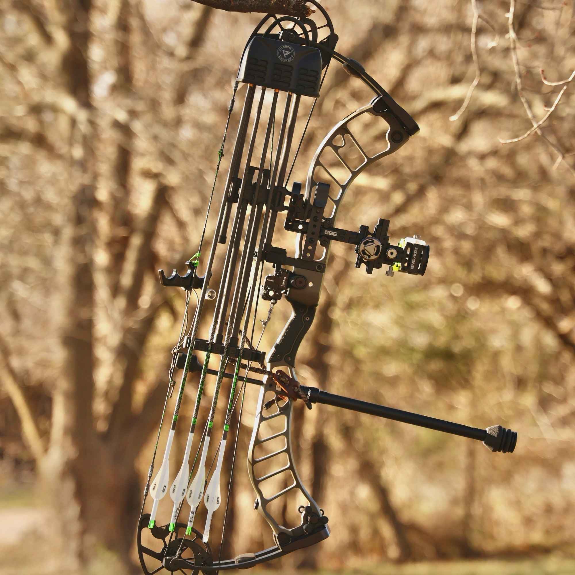 Prime bow hanging from a tree