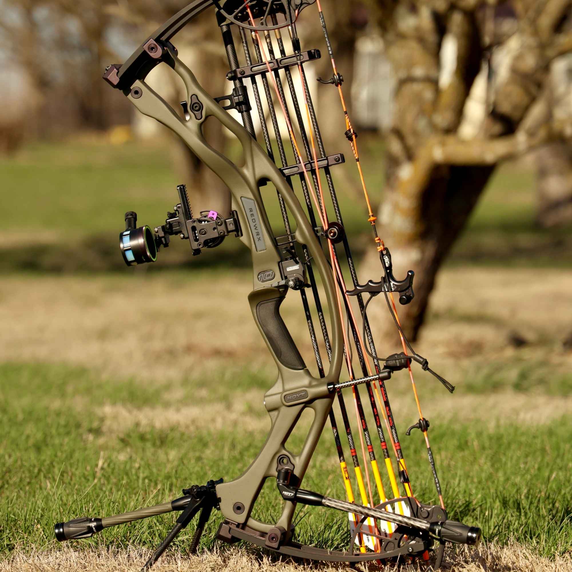 Hoyt bow on a stand