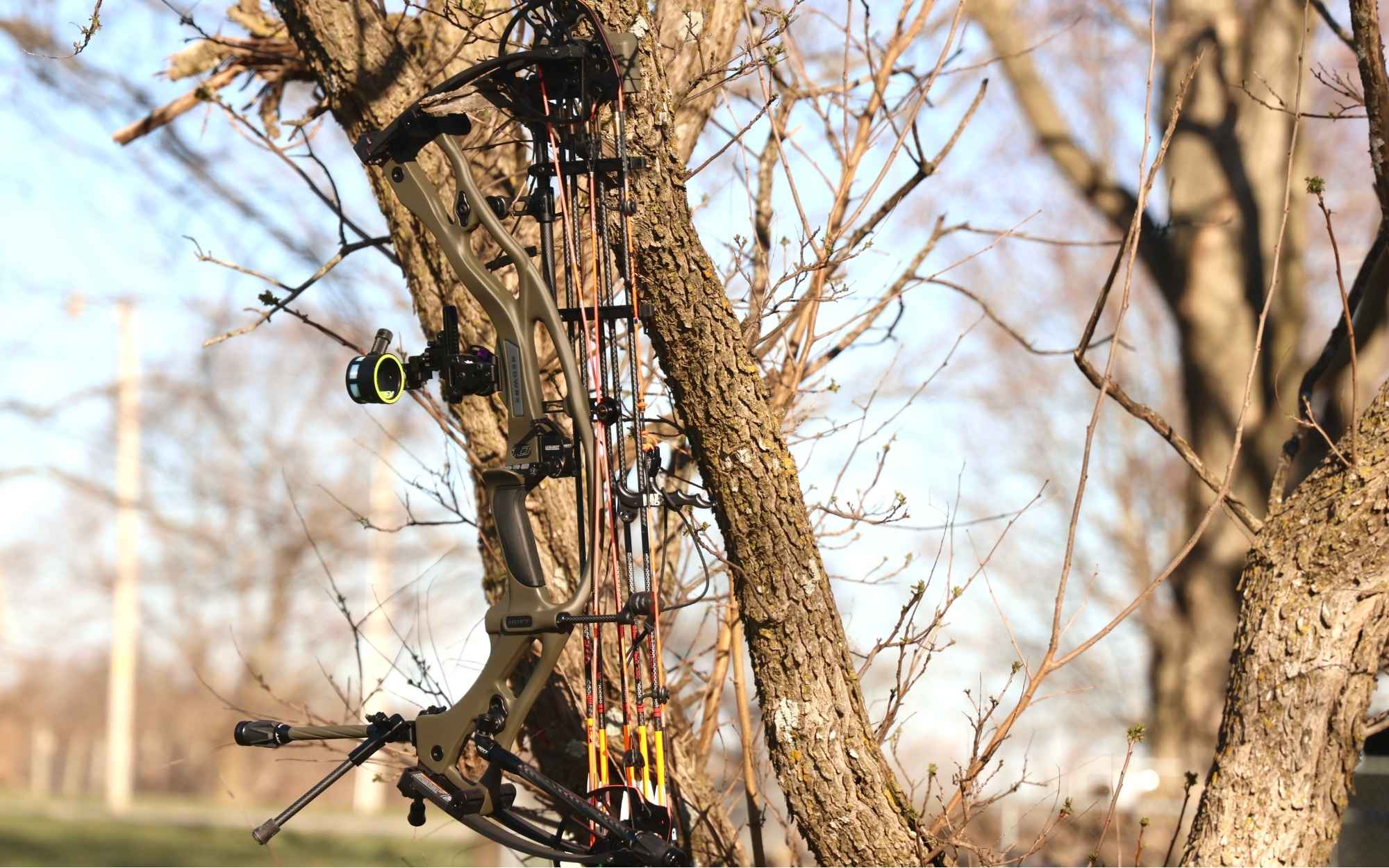 Hoyt bow hanging in a tree