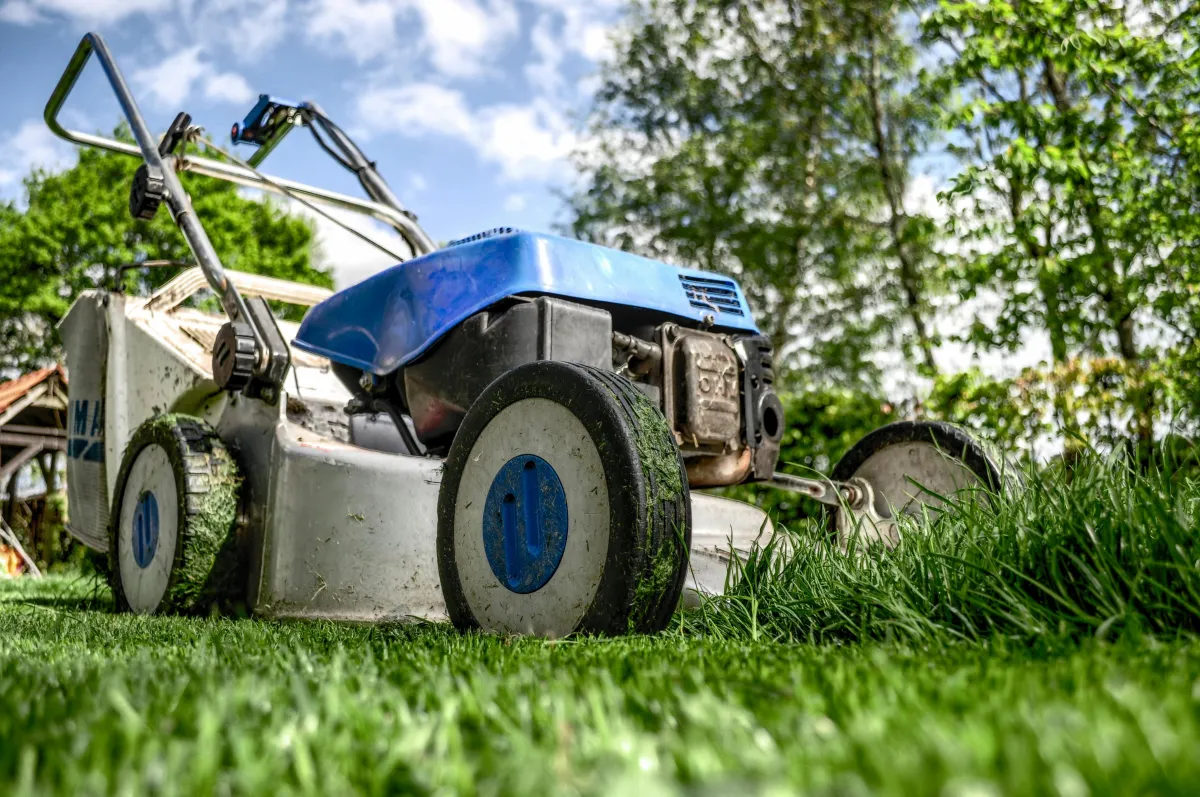 Lawn Mowing