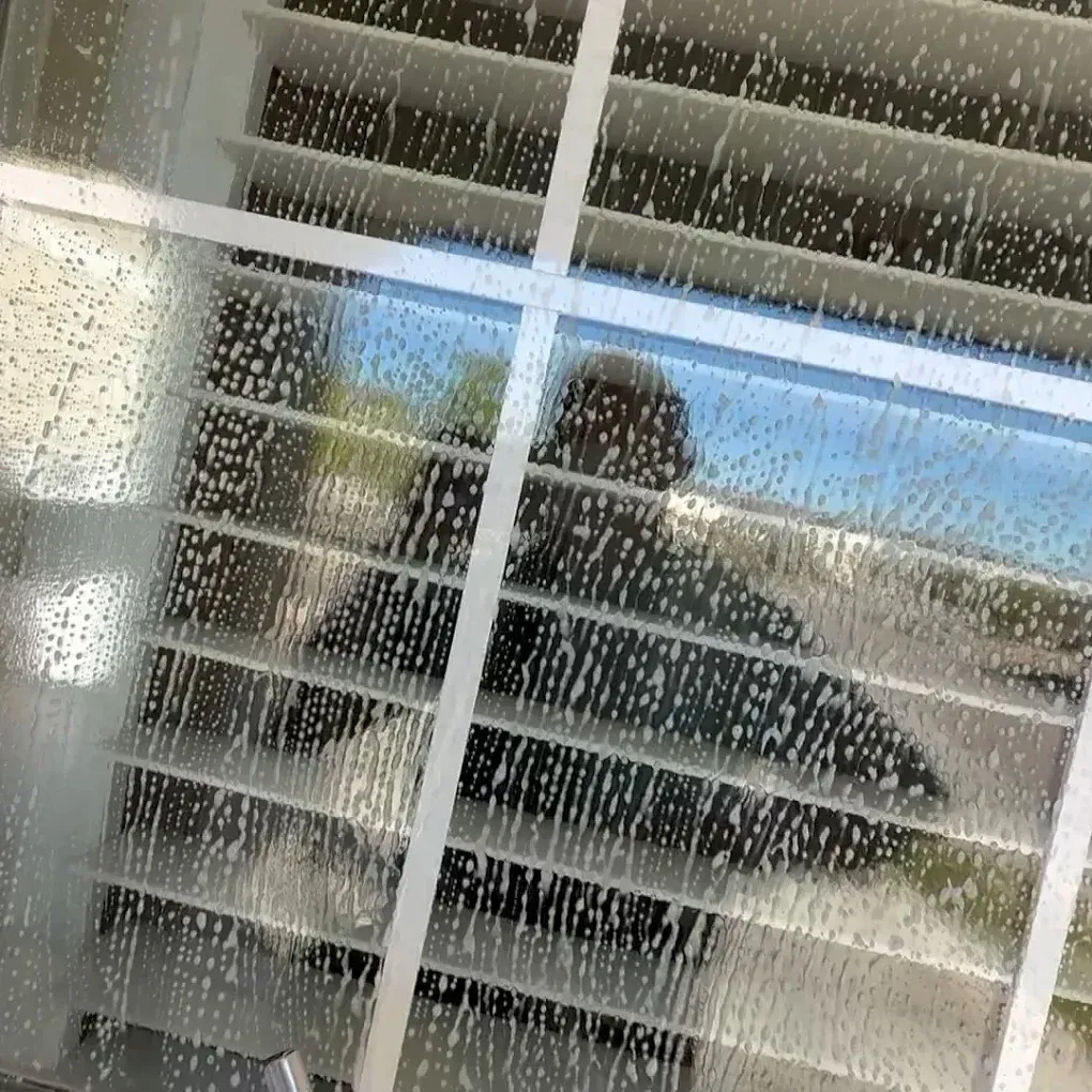 Screen Repair Denver
