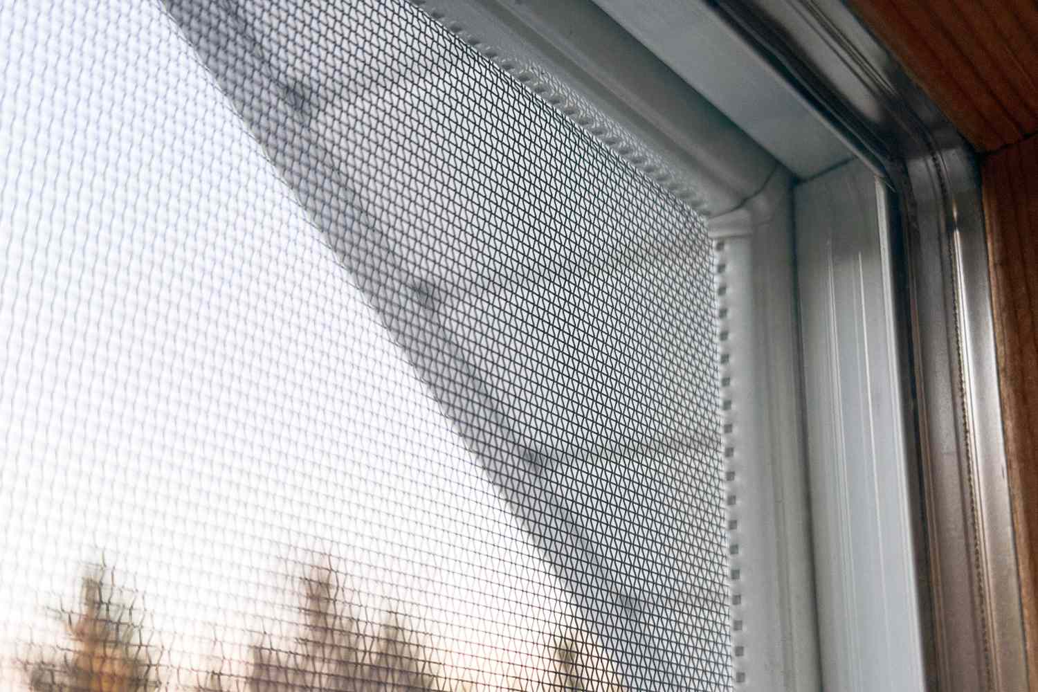 Screen Cleaning in Denver, Lakewood, Thornton And Surrounding Areas