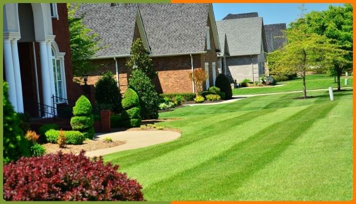 Professional Lawn Service in Volusia County | What to Expect Guide