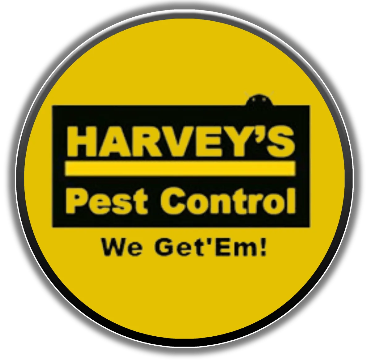 Knockout Pest Control Vancouver Business Logo
