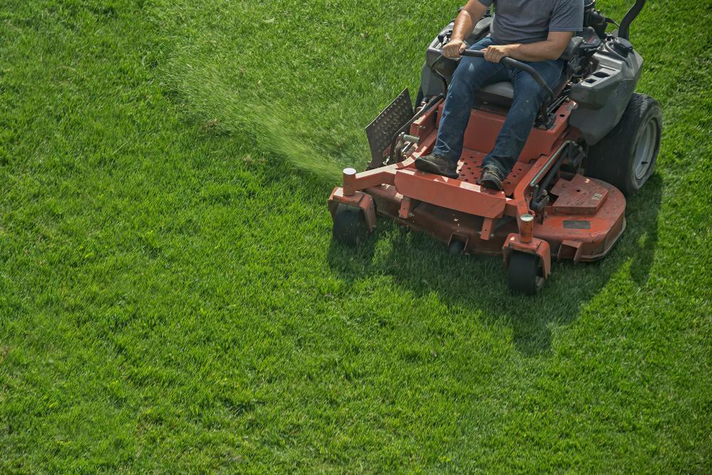 Person on lawn mower, mowing grass field