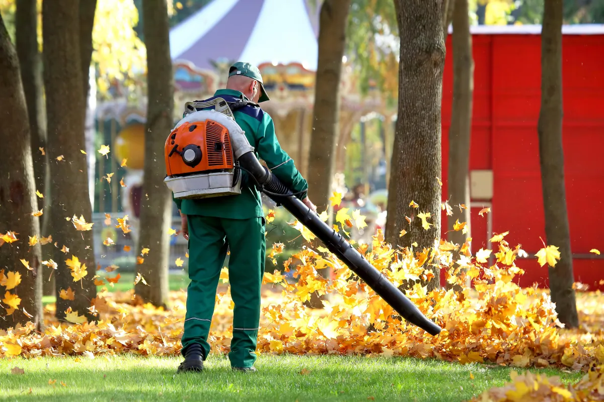 Man in green attire using a leaf blower against leaves
