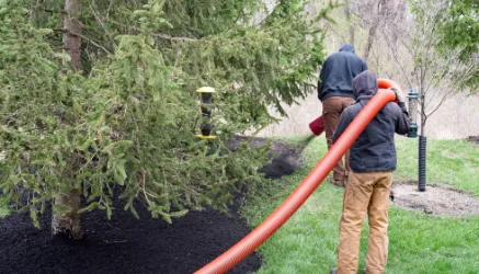 two workers bark blowing behind  a tree