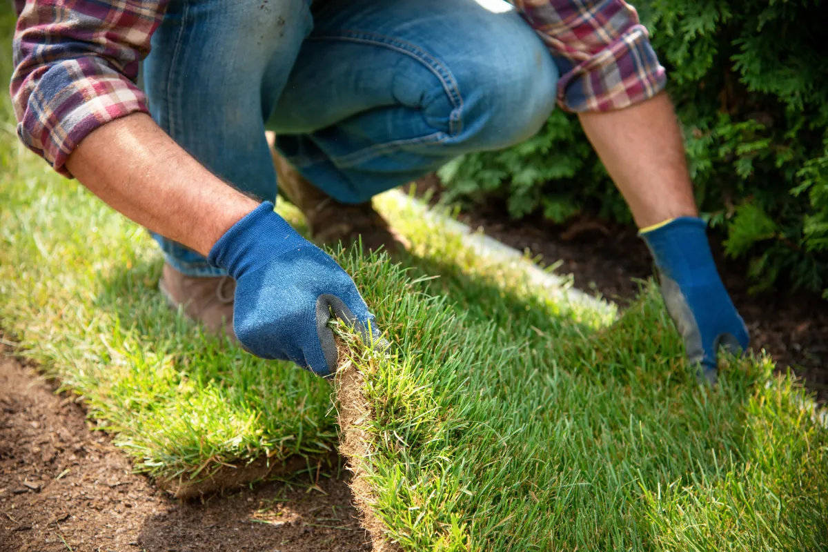person laying down lawn installation 