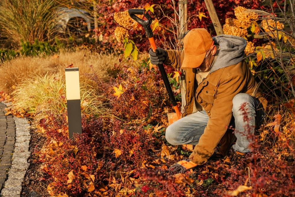 man cleaning out outdoor bed during the fall