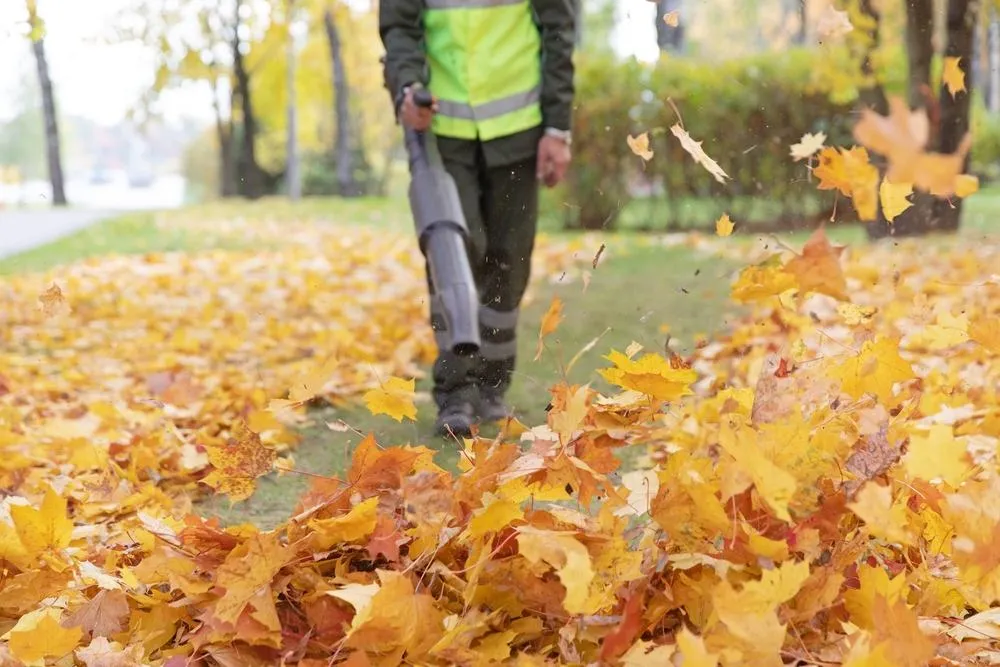 person with yellow construction vest using a leaf blower