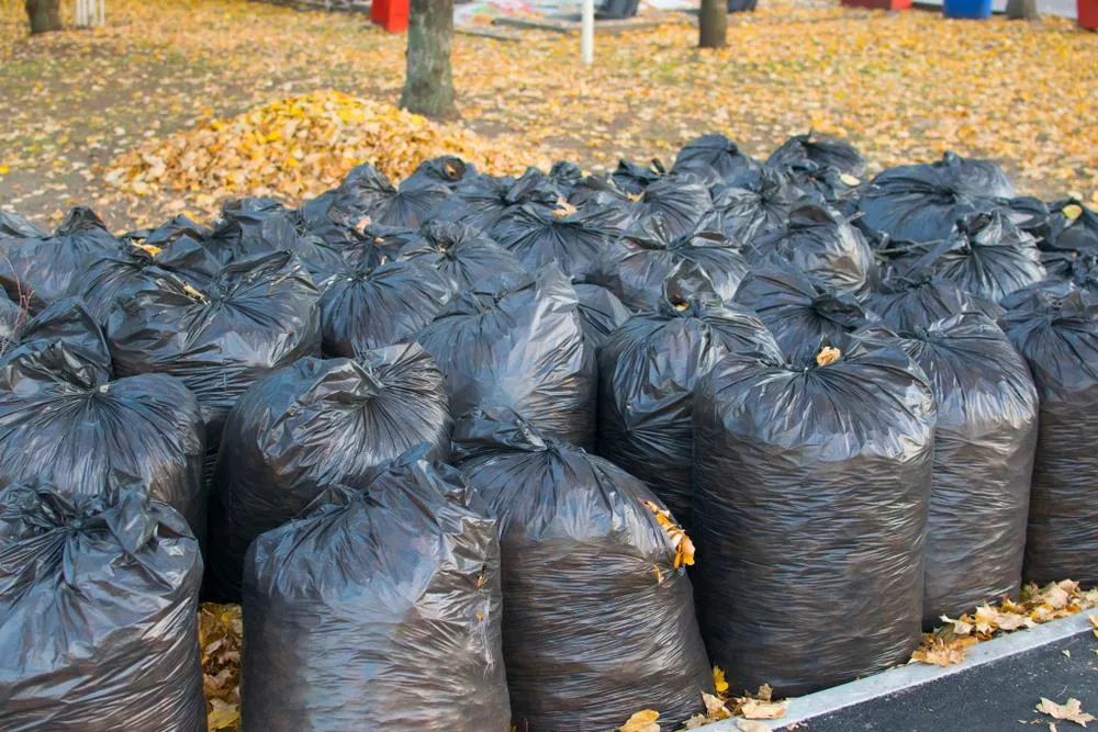 back garbage bags filled with leaves
