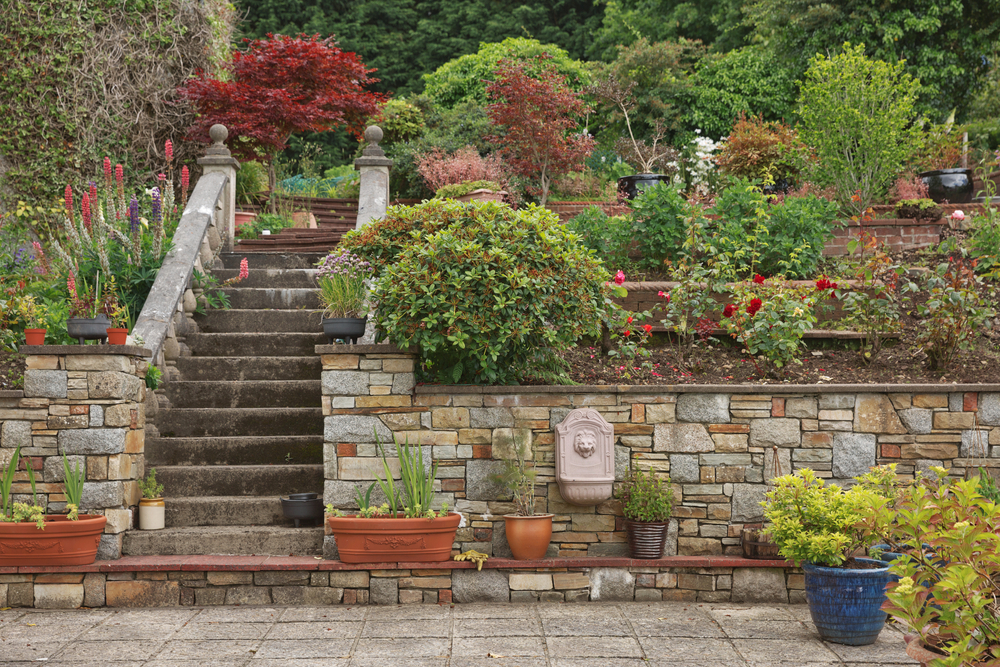 decorative outdoor wall with plants and flowers